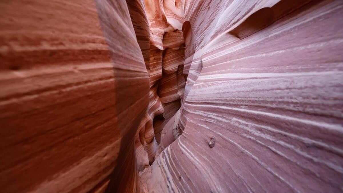 Escalante Escapes Tumble Weed- Bunk Escapeヴィラ エクステリア 写真